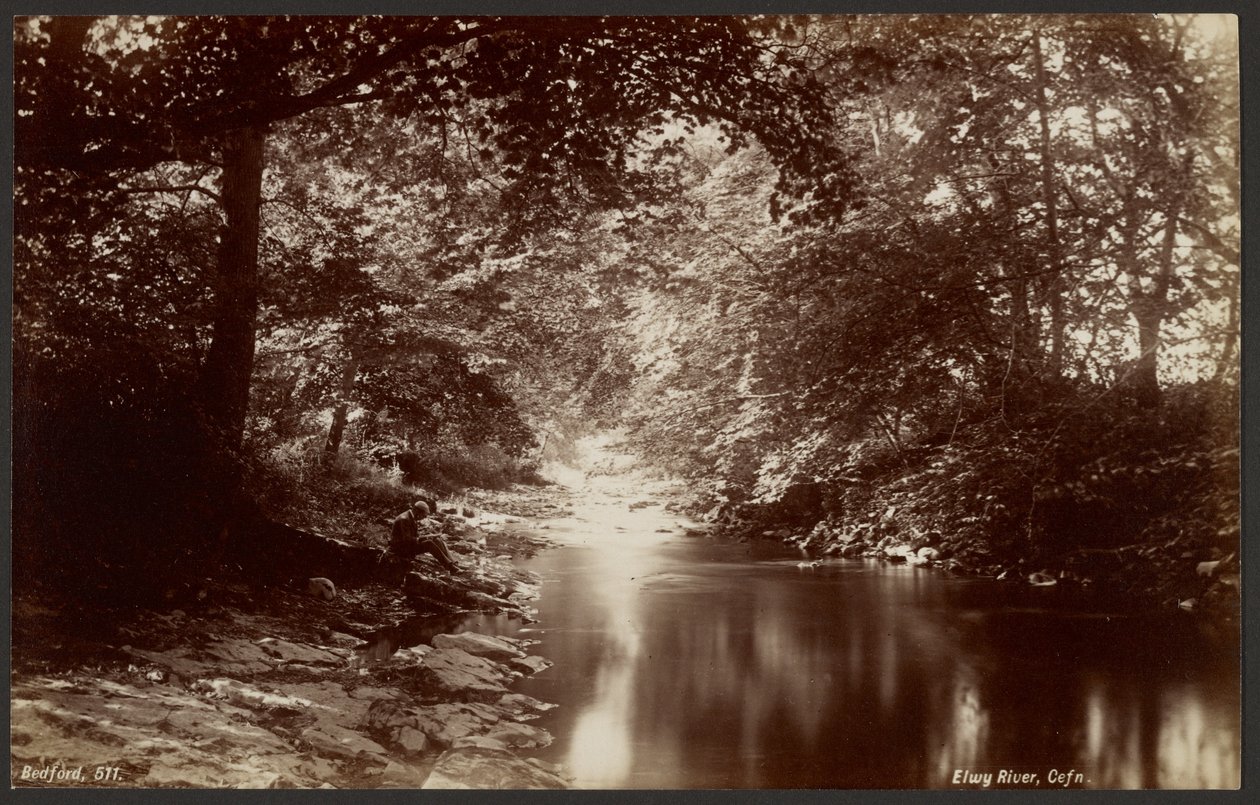 Rio Elwy, Cefn de Francis Bedford