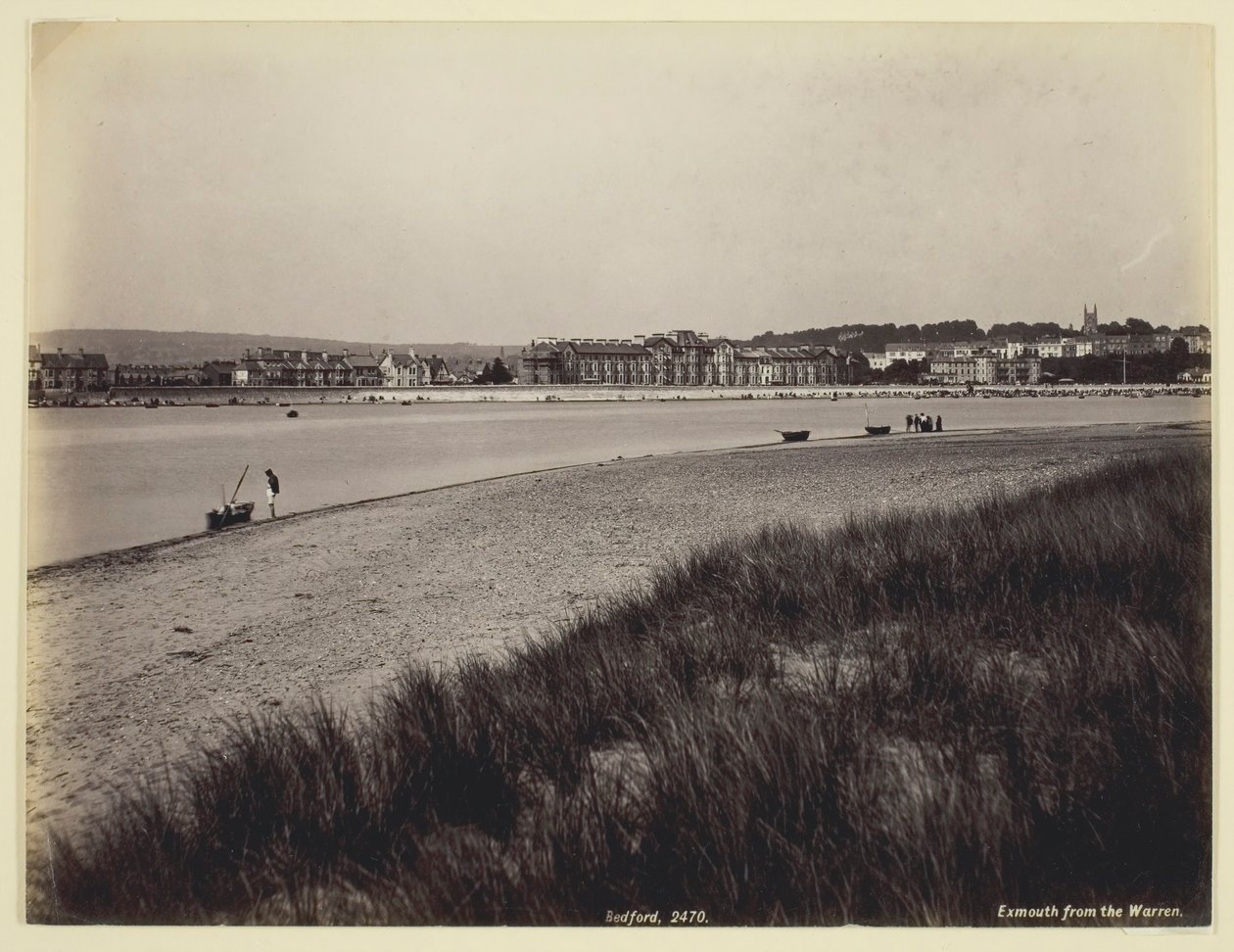Floresta. de Francis Bedford