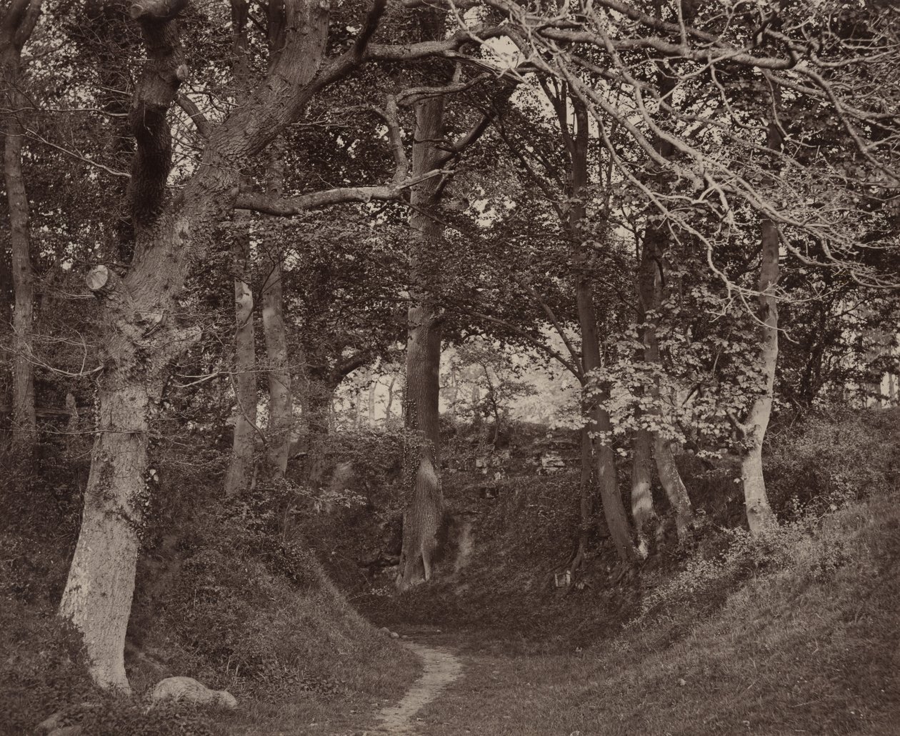 Glen Kenilworth,c. 1868 (foto) de Francis Bedford