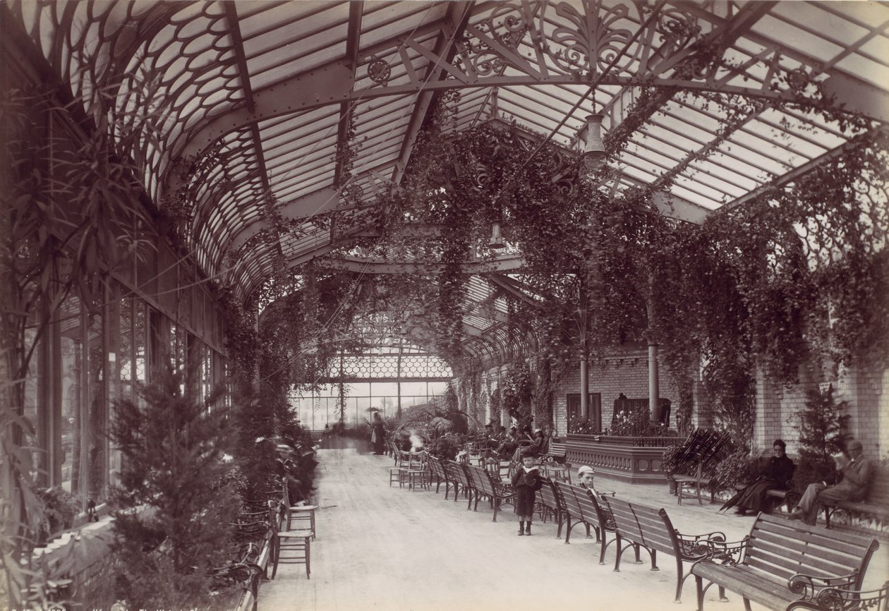 Ilfracombe, O Passeio Vitoriano, década de 1870. de Francis Bedford