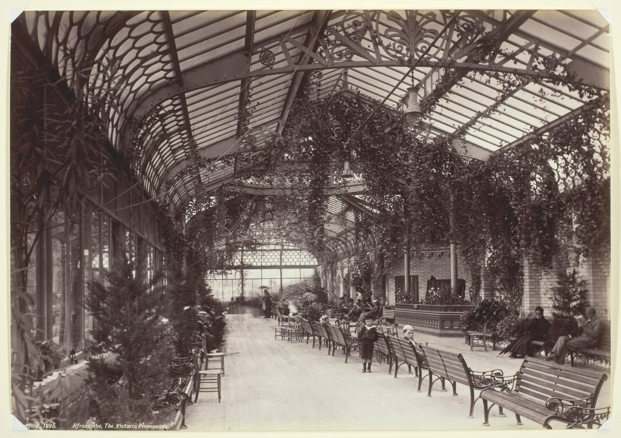 Ilfracombe, a avenida Victoria de Francis Bedford