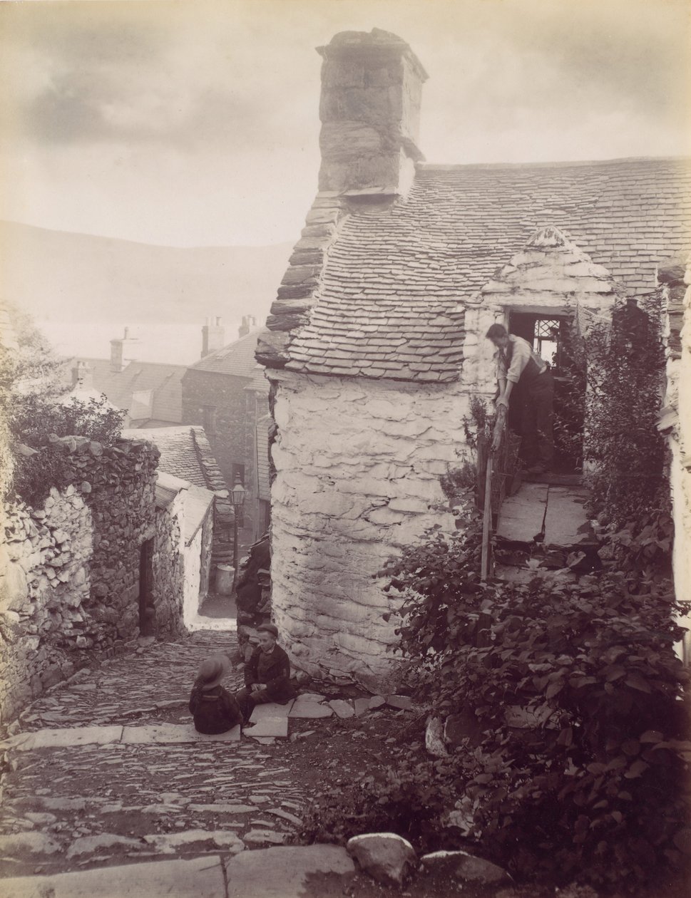 Floresta. de Francis Bedford
