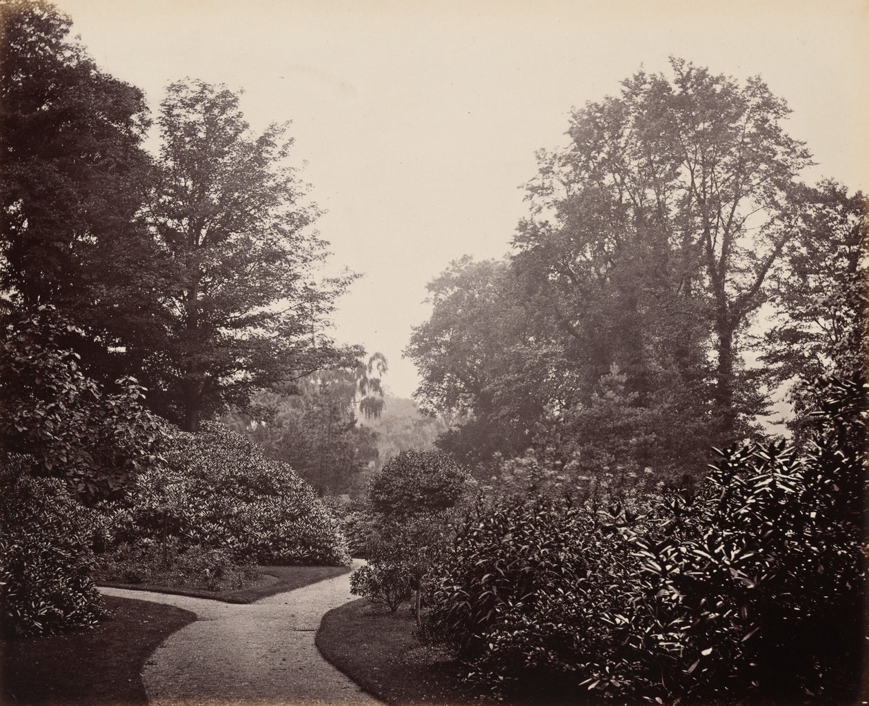 Caminho em Alexandra Park, c. 1863 (foto) de Francis Bedford
