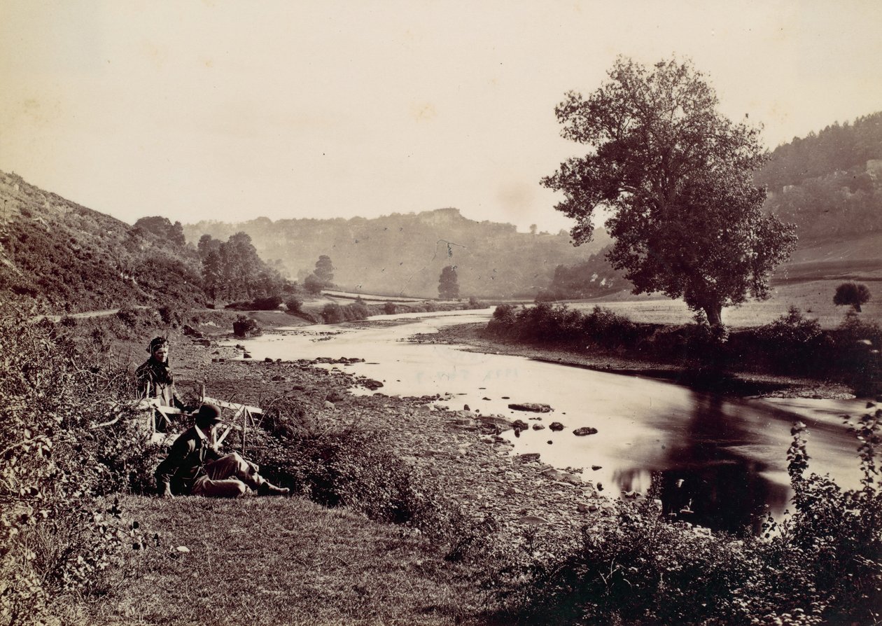 Floresta. de Francis Bedford