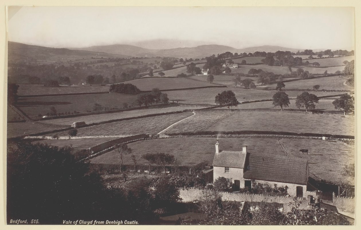 Floresta. de Francis Bedford