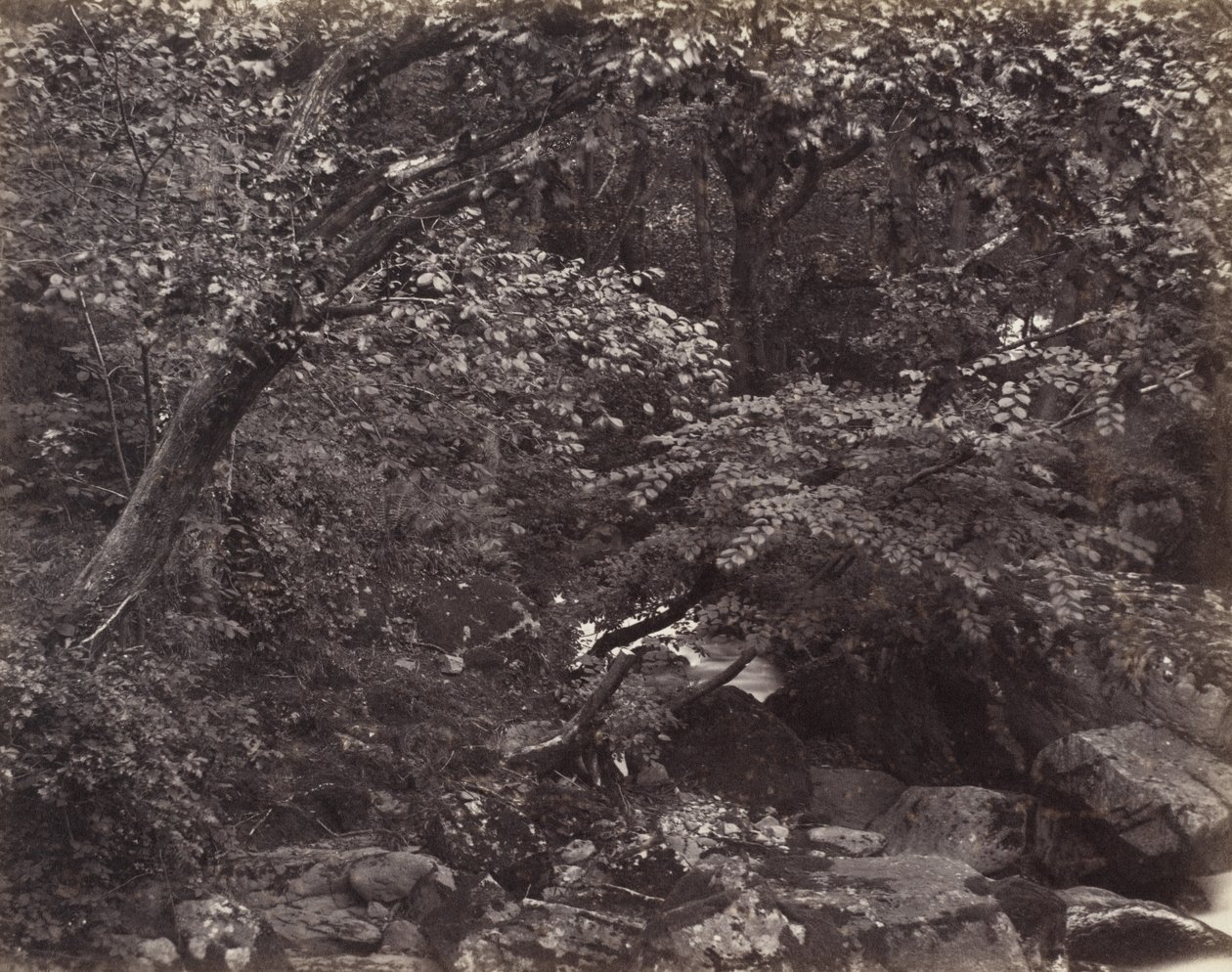 Glen em Lynmouth de Francis Bedford, Francis Frith