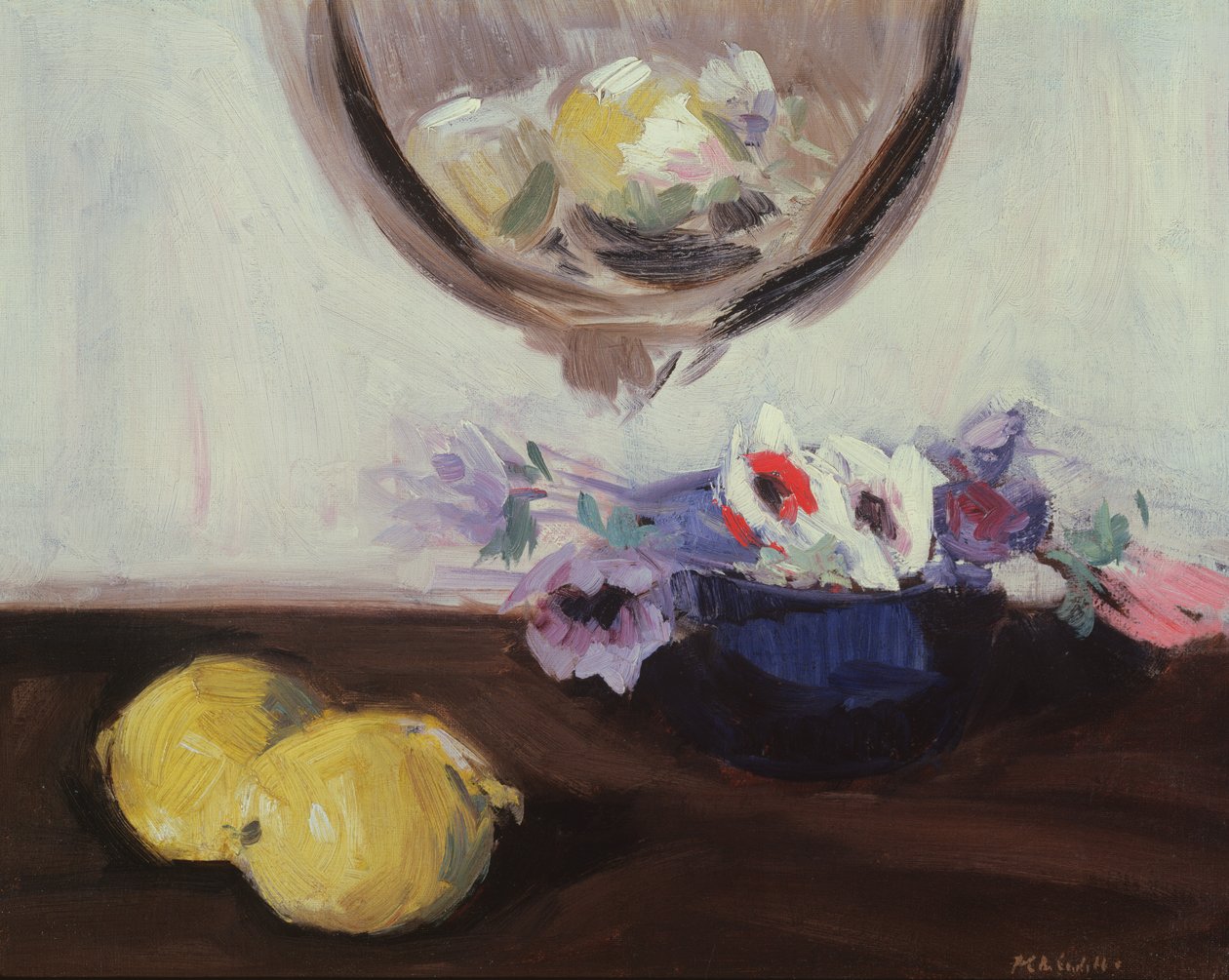 Anêmonas e Limões de Francis Campbell Boileau Cadell