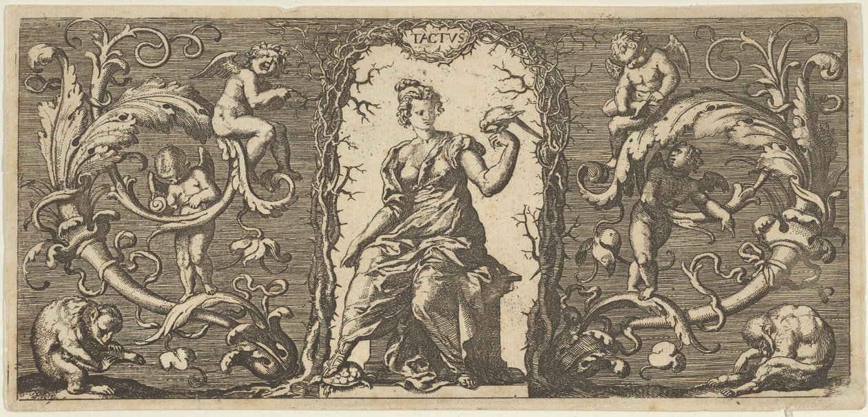 Toque Toque, dos Cinco Sentidos Cinco Sentidos, ca. 1655 de Francis Cleyn