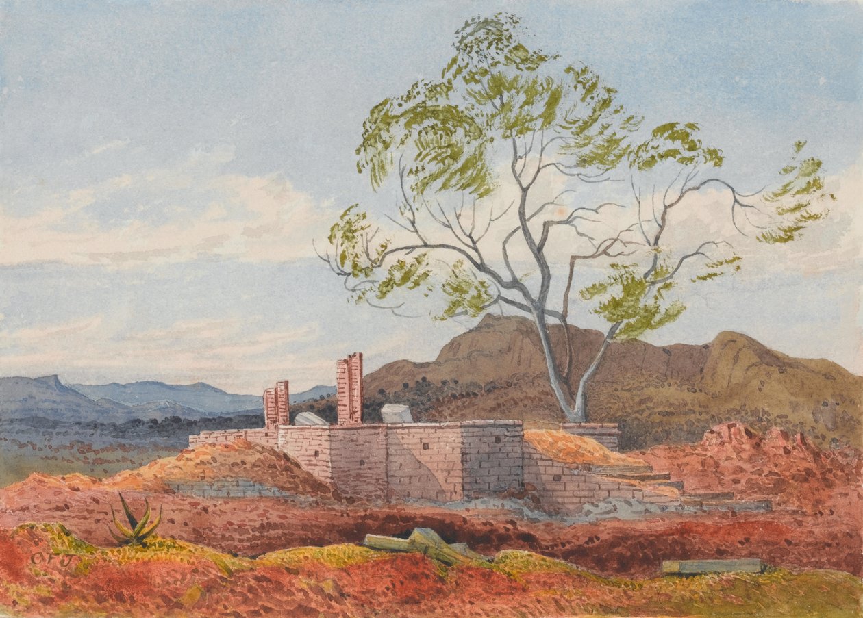 Ruína em Agoola, Tigre de Francis Cornelius James