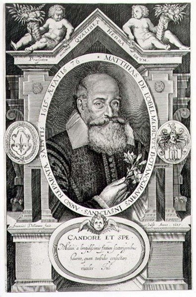 Retrato de Matthias de Lobel (1538-1622) gravado pelo artista de Francis Delaram