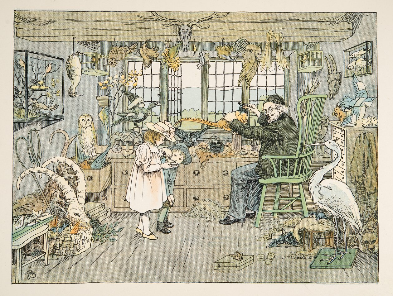 The Bird Stuffer, de Four and Twenty Toilers, pub. 1900 (litografia a cores) de Francis Donkin Bedford