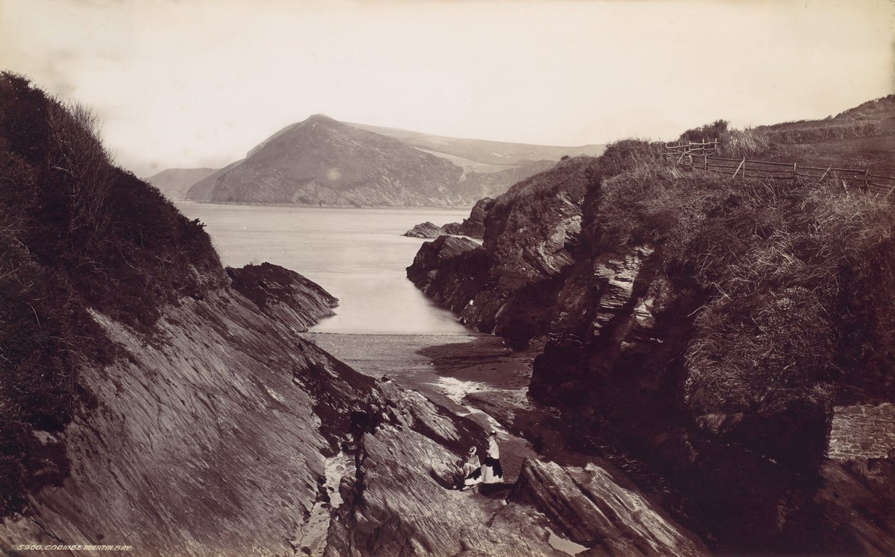 Floresta. de Francis Frith