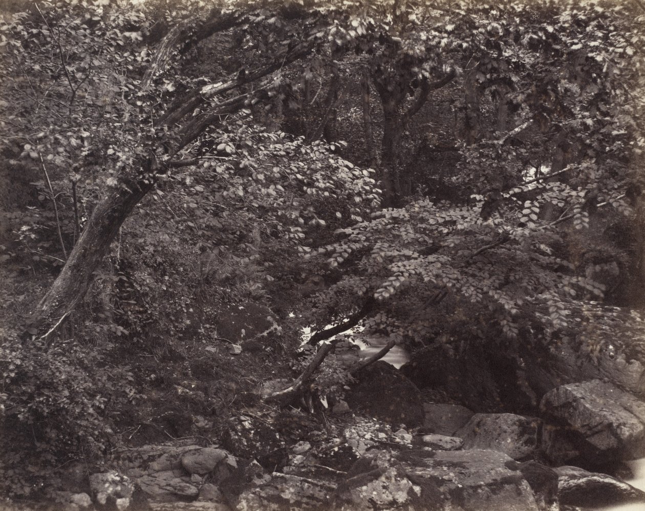 Glen em Lynmouth, década de 1860 de Francis Frith