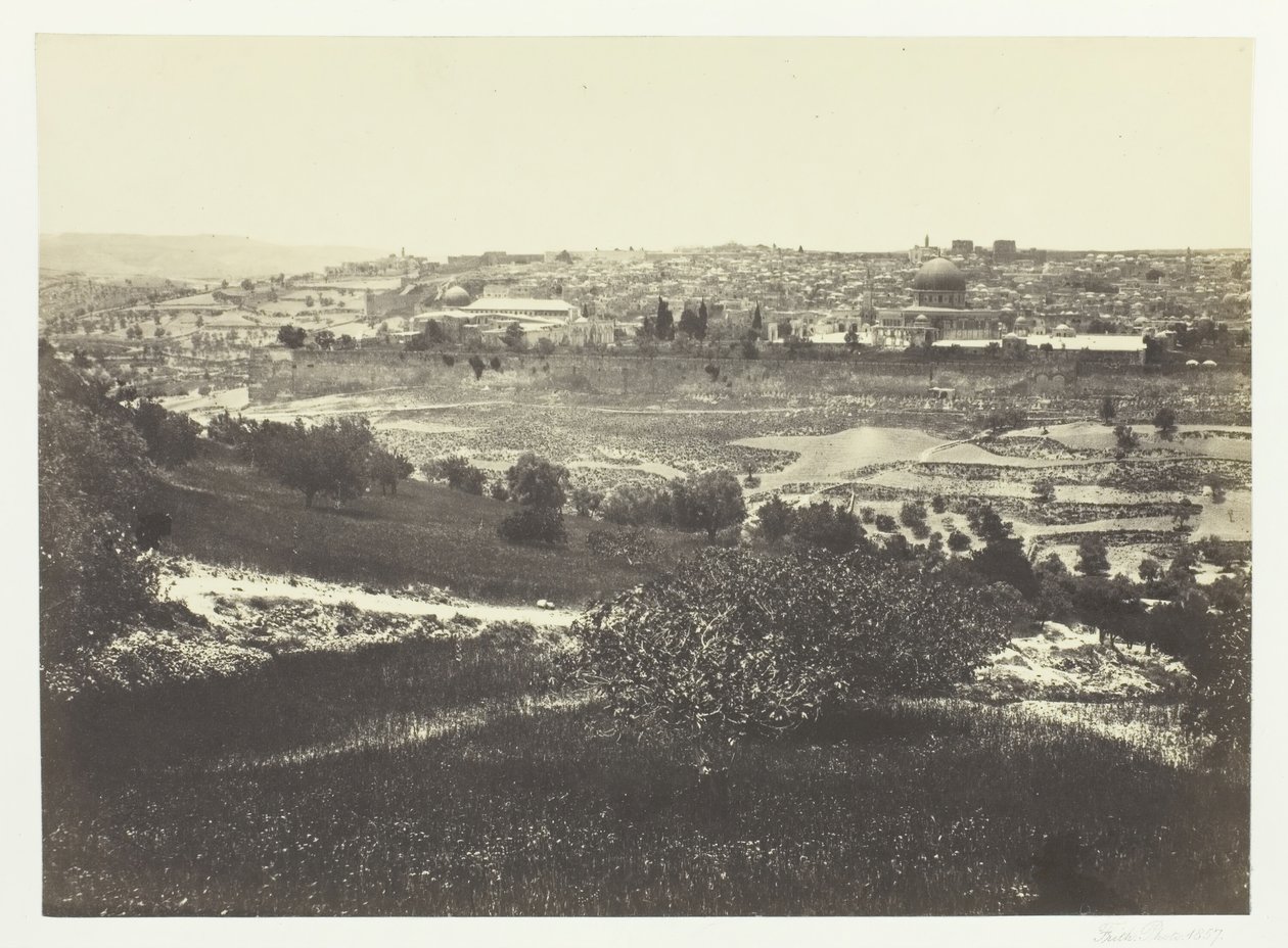 Floresta. de Francis Frith
