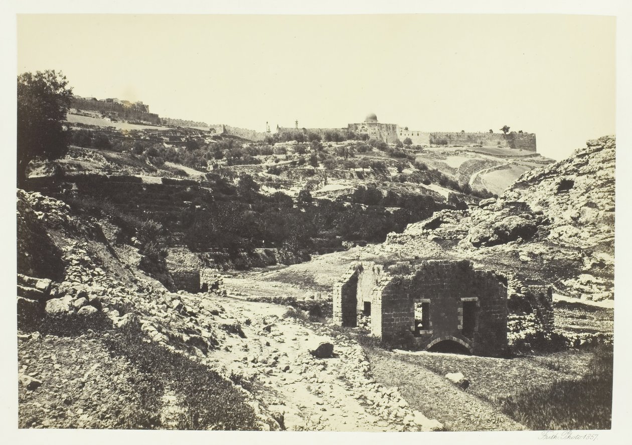 Floresta. de Francis Frith