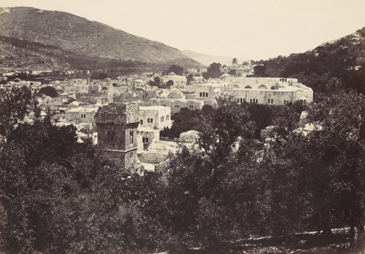 Floresta. de Francis Frith