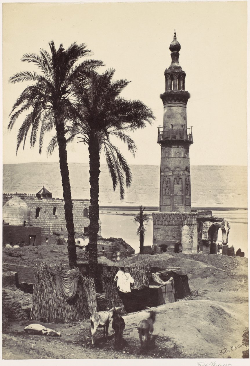 Vista em Girgeh de Francis Frith