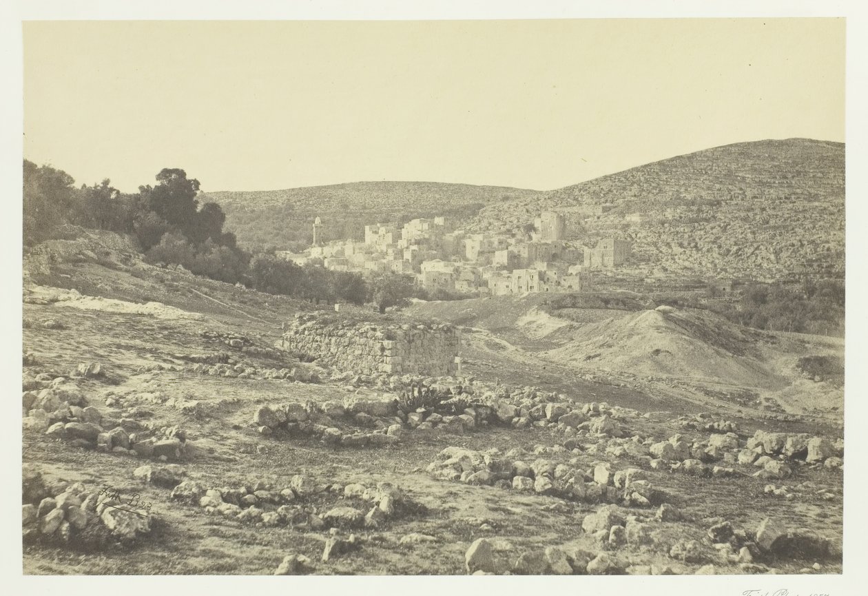 Floresta. de Francis Frith
