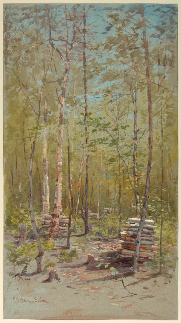 Bétulas de Francis Hopkinson Smith