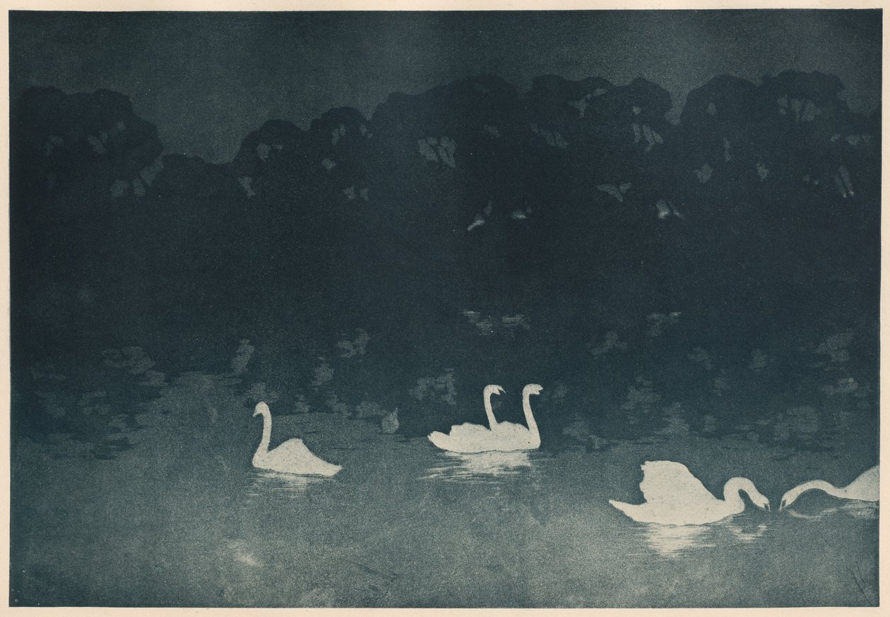 Os Cisnes de Francis Jourdain