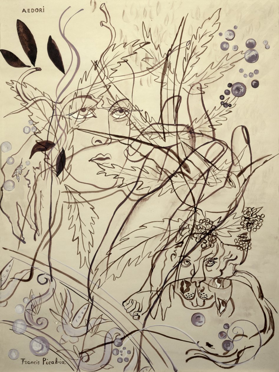 Aedori de Francis Picabia