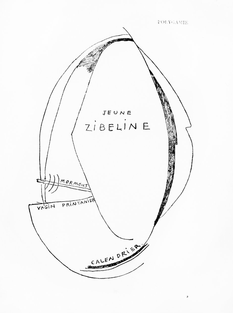 Poemes et Dessins de la Fille nee sans Mere, n.º 15, publicado por Imprimeries Reunies, Lausanne de Francis Picabia