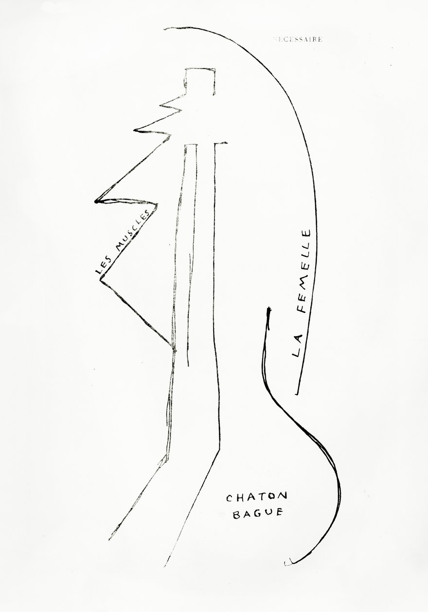 Poemes et Dessins de la Fille nee sans Mere, n.º 23, publicado por Imprimeries Reunies, Lausanne de Francis Picabia