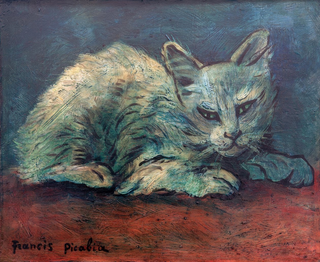 O gato de Francis Picabia