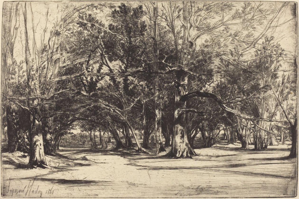 Uma estrada secundária em Tipperary de Francis Seymour Haden