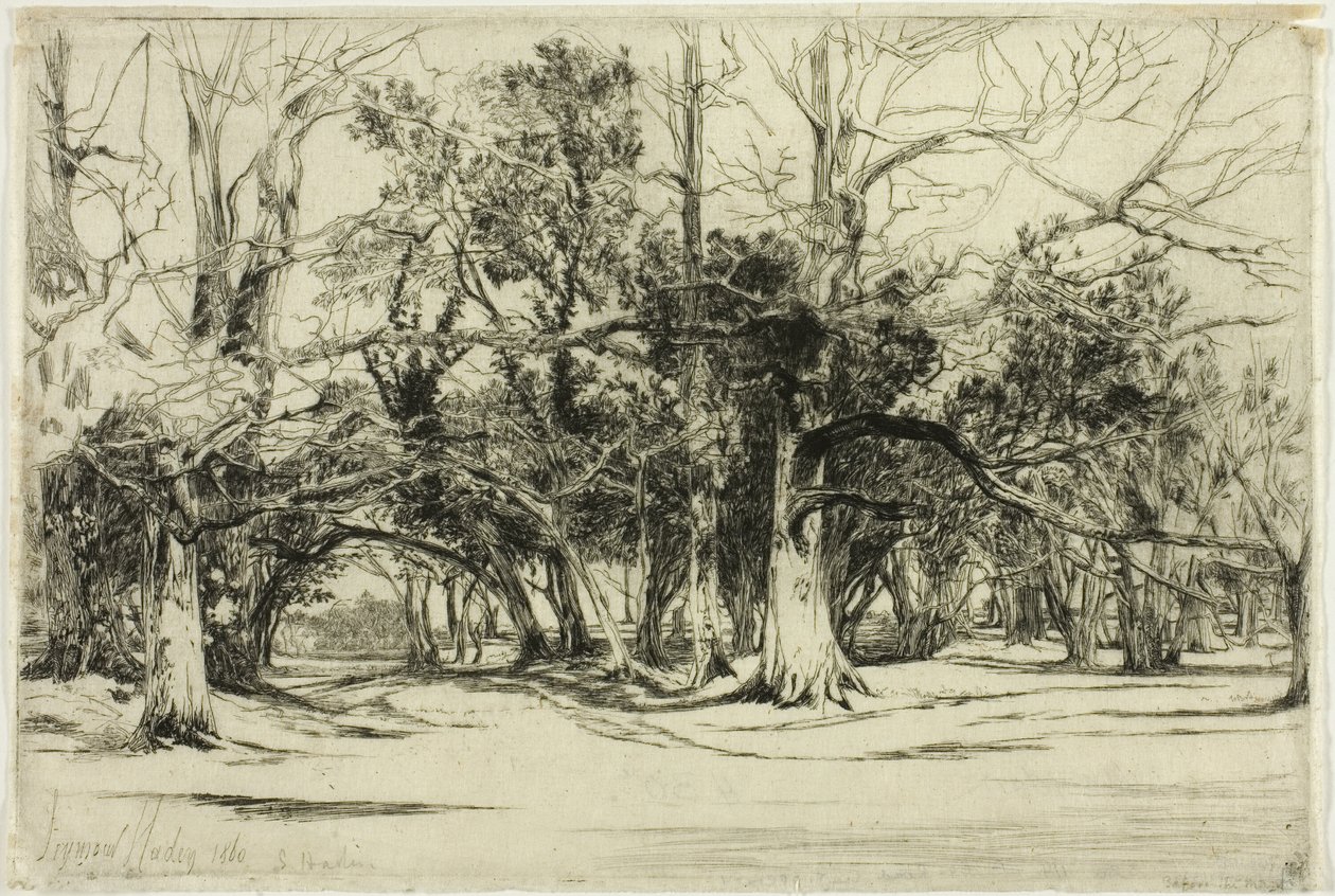 Uma estrada secundária em Tipperary de Francis Seymour Haden