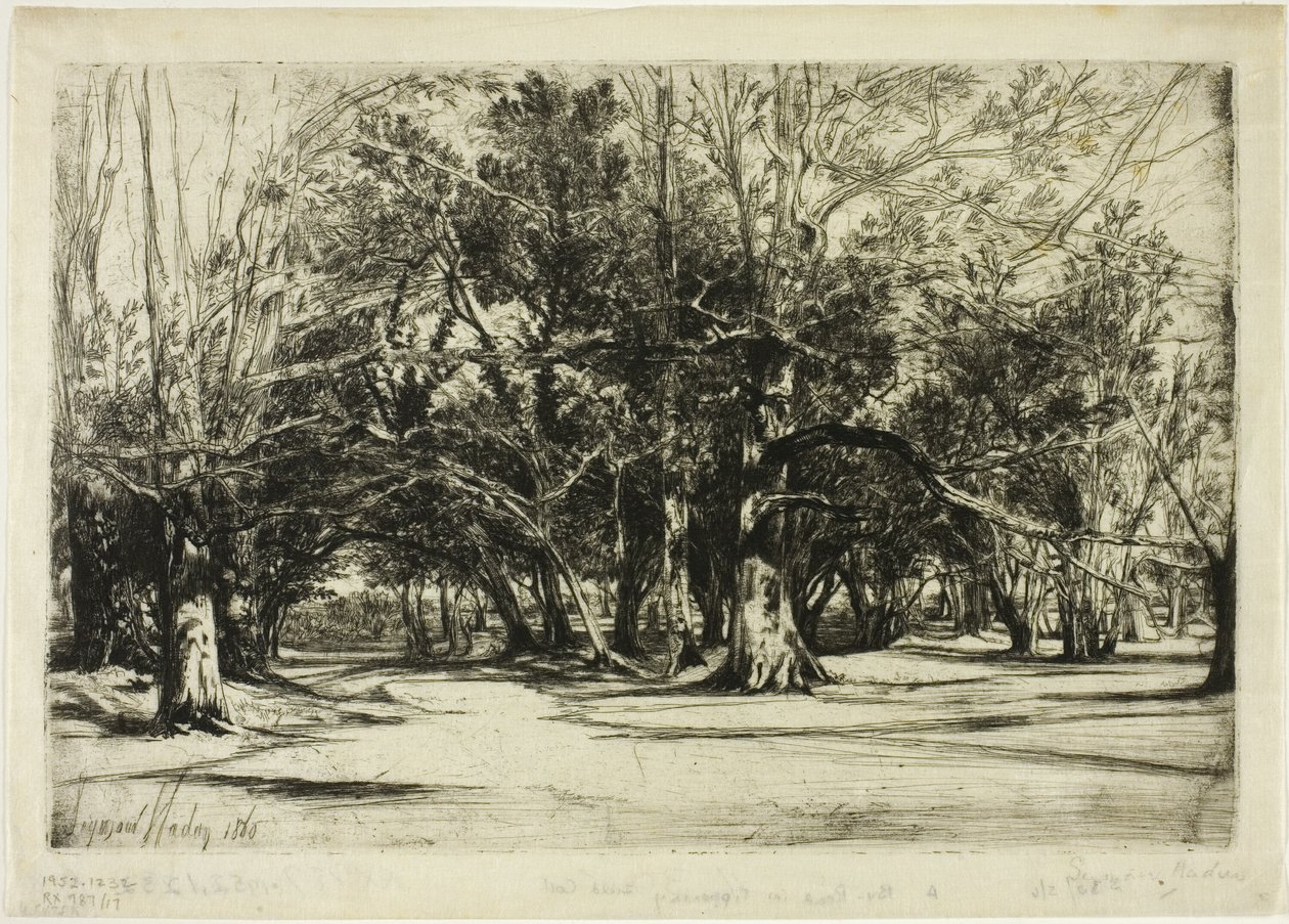 Uma estrada secundária em Tipperary de Francis Seymour Haden