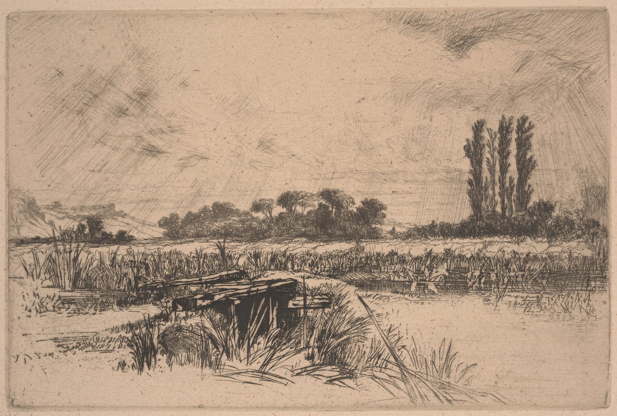 Um prado aquático (gravura e ponto seco) de Francis Seymour Haden