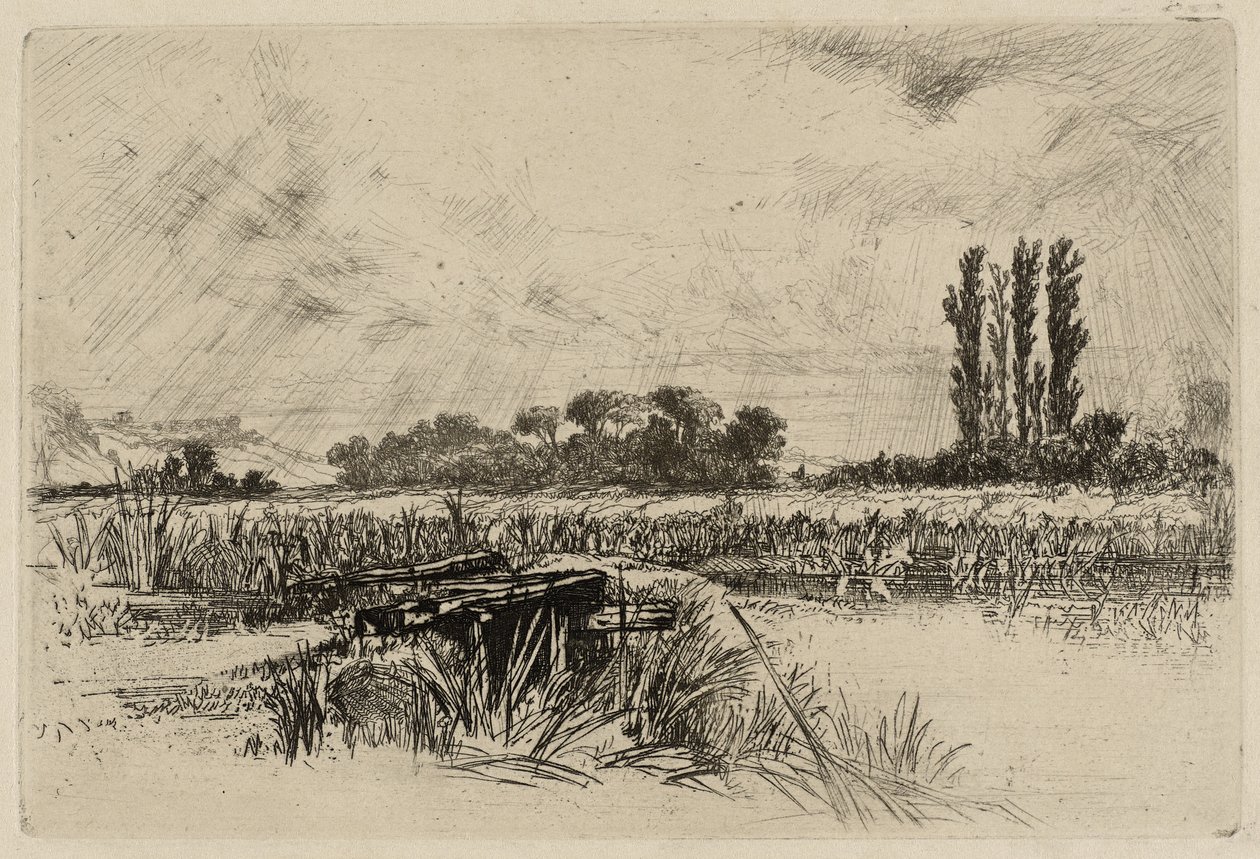 Um Prado de Água de Francis Seymour Haden