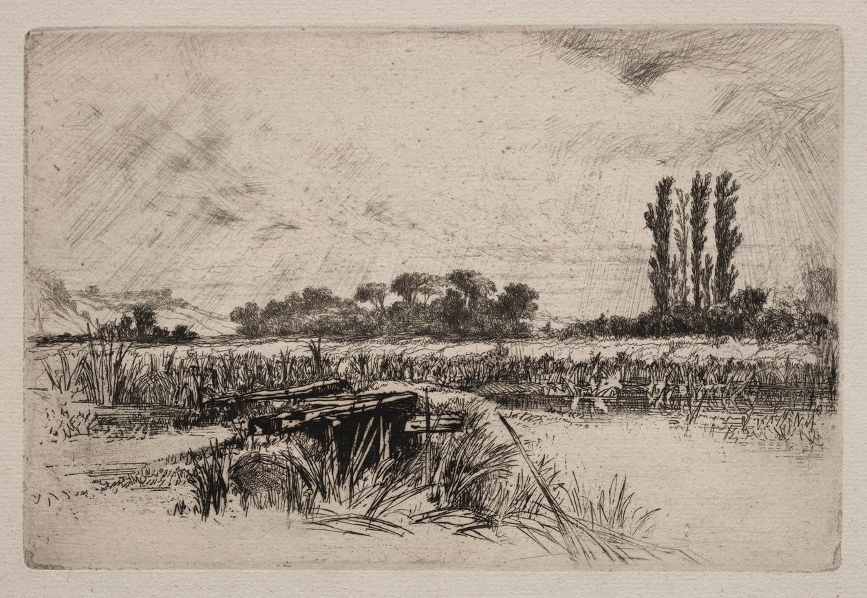 Um Prado de Água de Francis Seymour Haden