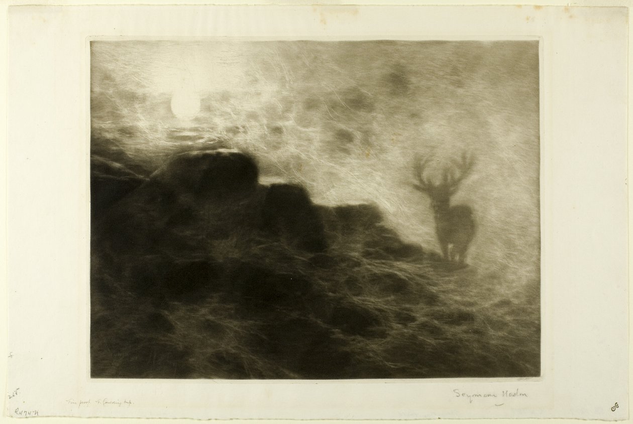 Um madrugador de Francis Seymour Haden