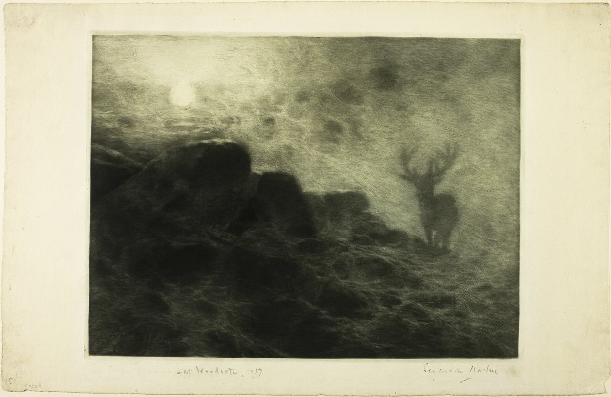 Um madrugador de Francis Seymour Haden