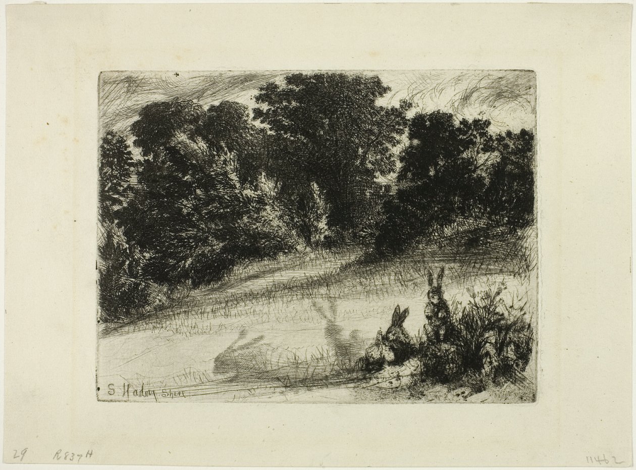 Pentear Inferior de Francis Seymour Haden
