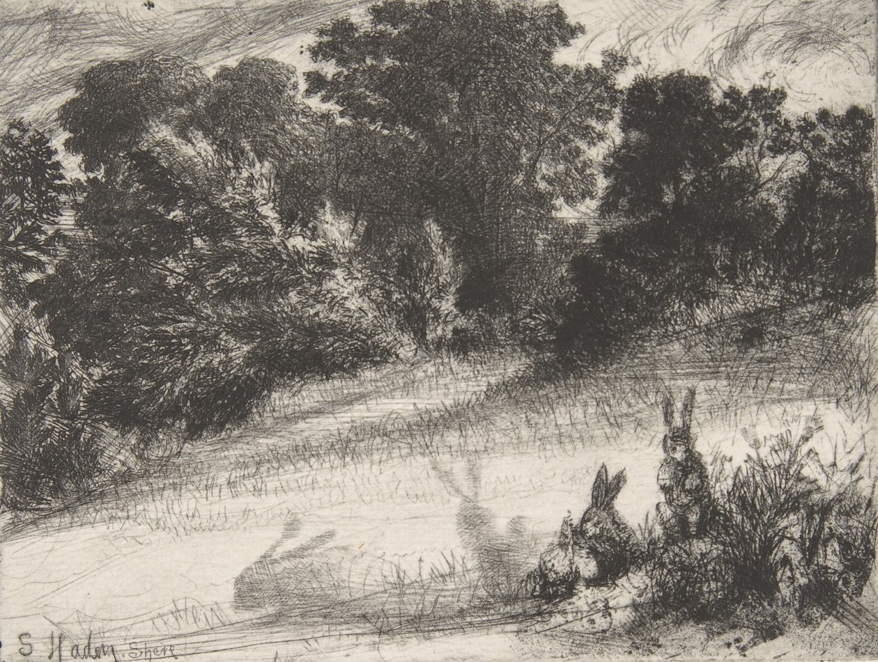 Combe Bottom, 1860., 1860. de Francis Seymour Haden