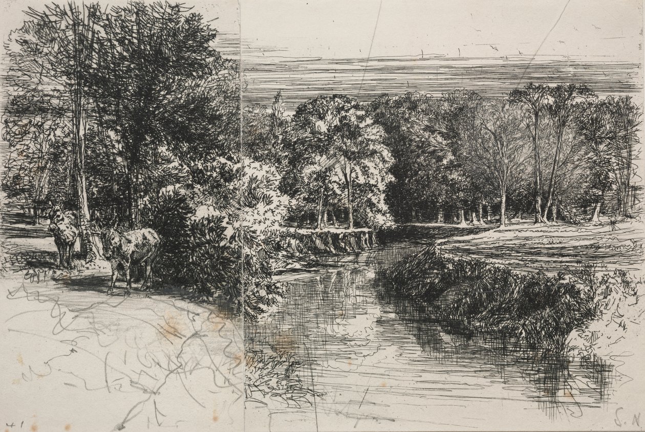 Rio Dundrum e os dois burros de Francis Seymour Haden