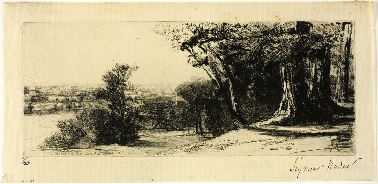 De manhã cedo, Parque Richmond de Francis Seymour Haden