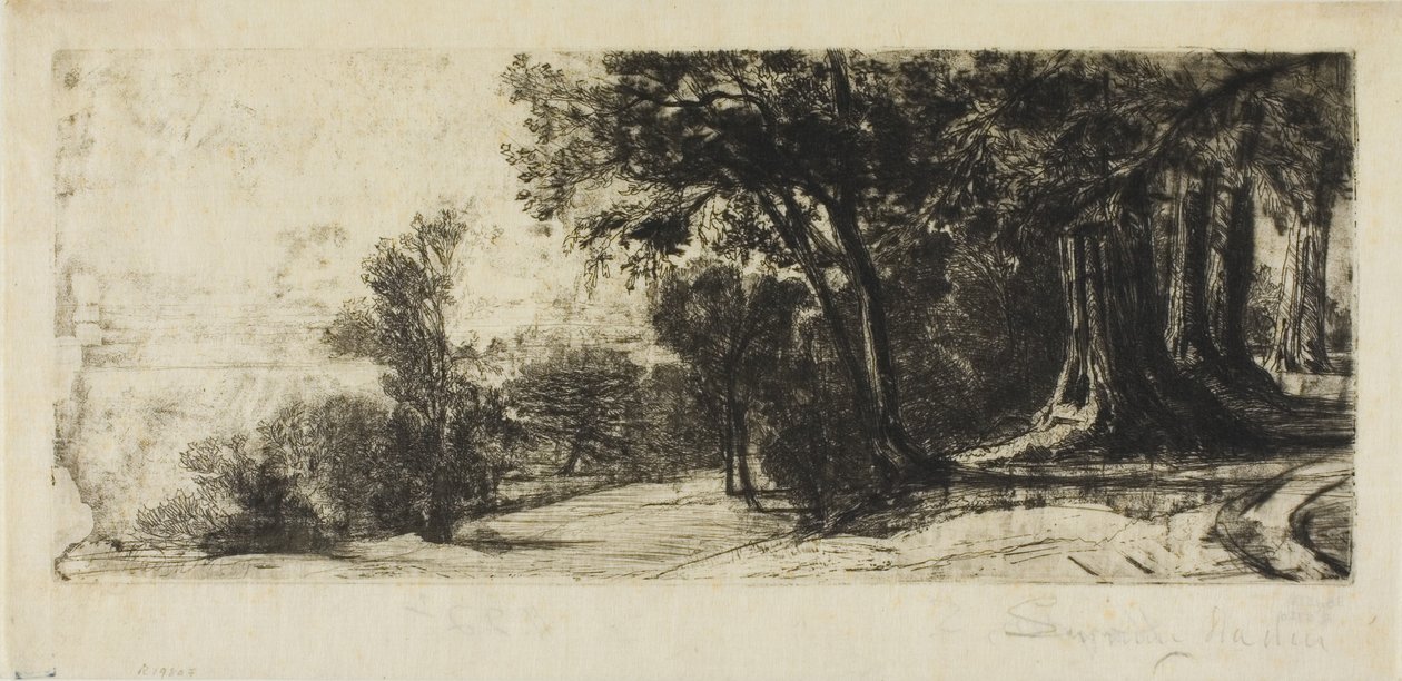 De manhã cedo, Parque Richmond de Francis Seymour Haden