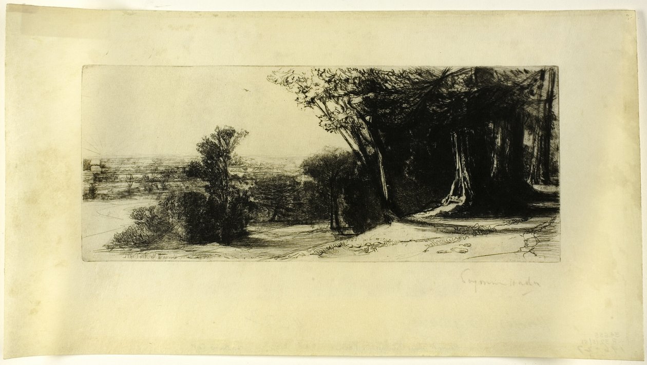De manhã cedo, Parque Richmond de Francis Seymour Haden