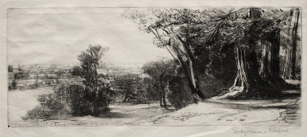 De manhã cedo, Richmond Park. de Francis Seymour Haden