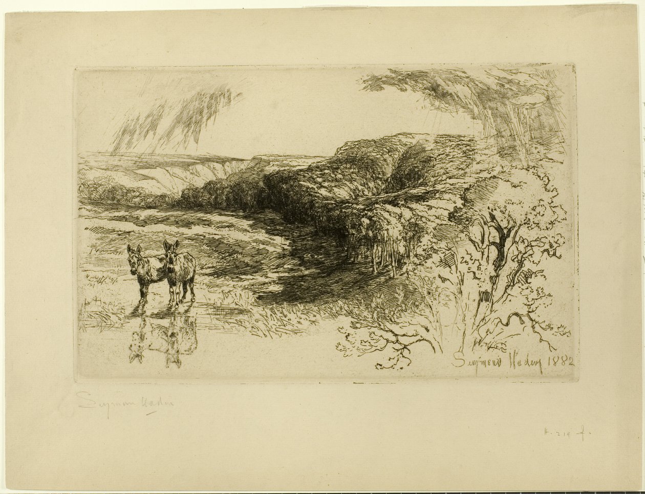 Encombe Woods, No. II de Francis Seymour Haden