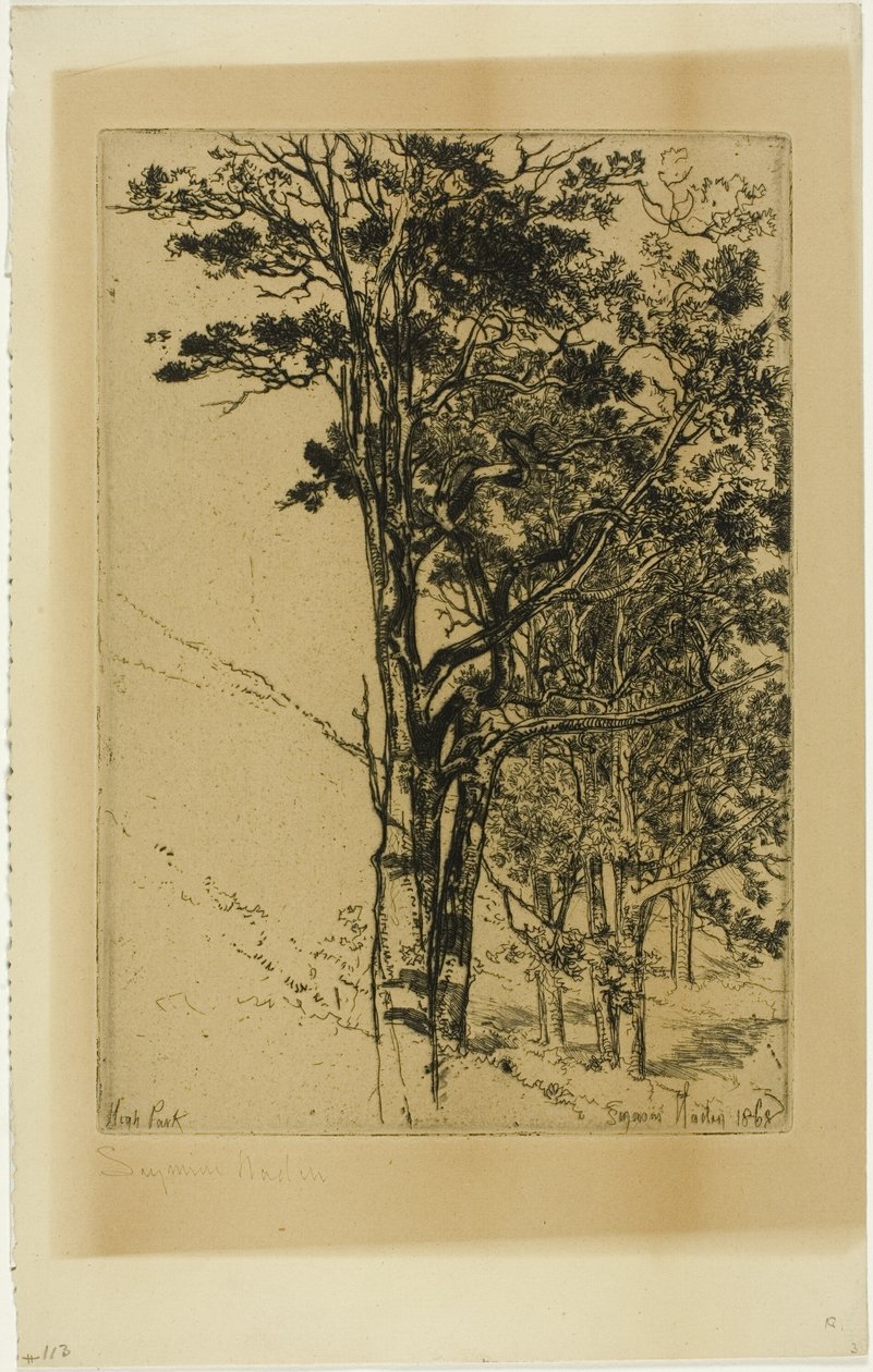 Firs (um estudo) de Francis Seymour Haden