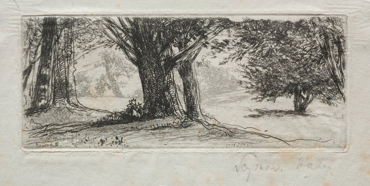Campo de azevinho de Francis Seymour Haden
