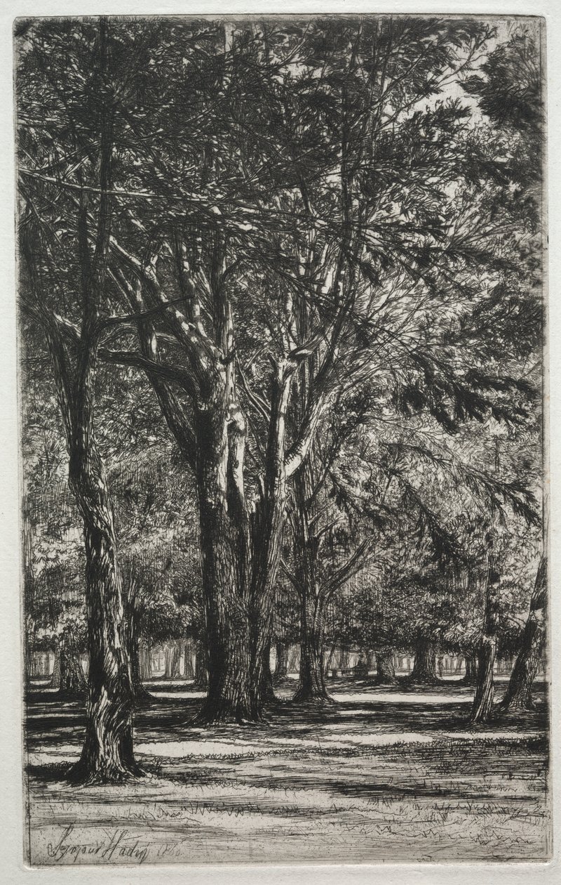 Jardins de Kensington (O Prato Grande) de Francis Seymour Haden