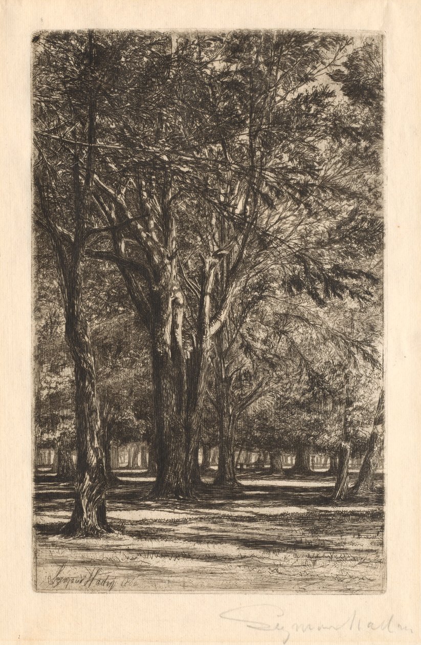 Kensington Gardens, No. 2 Large Plate, 1860. de Francis Seymour Haden