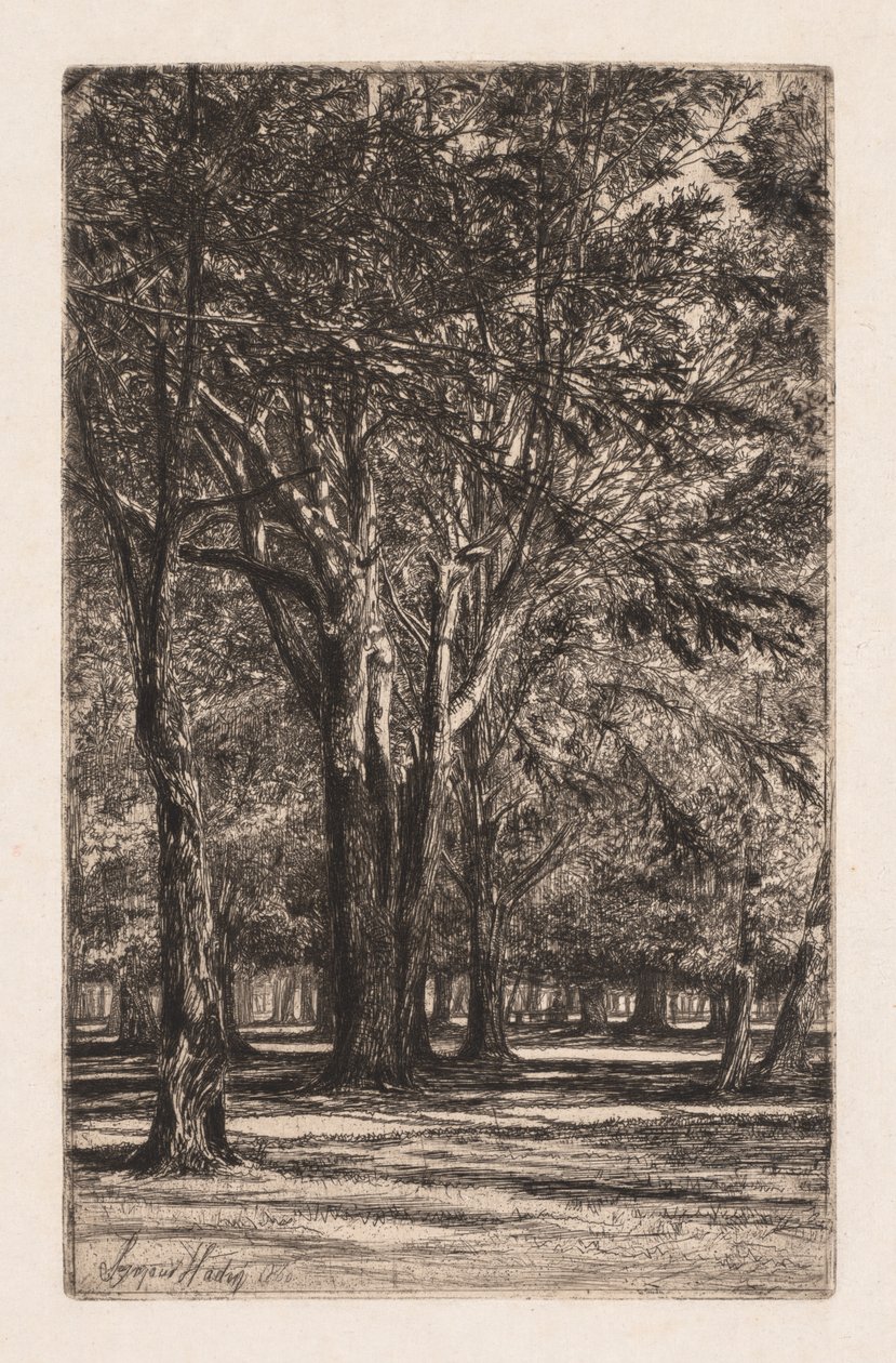 Jardins de Kensington, No. 2 A Placa Maior, 1860. de Francis Seymour Haden