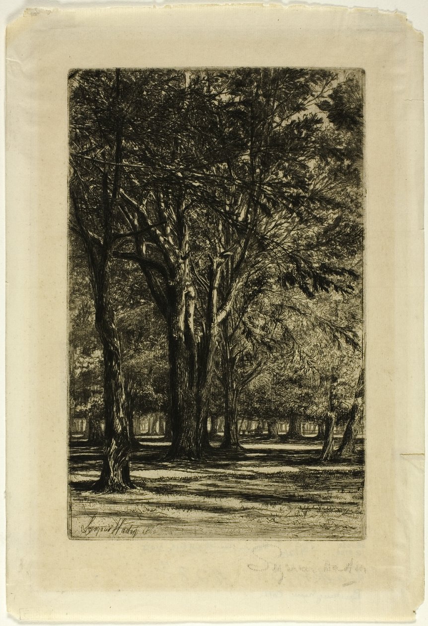 Kensington Gardens, No. II (placa grande) de Francis Seymour Haden